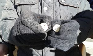 Lee más sobre el artículo Rifa San Antón