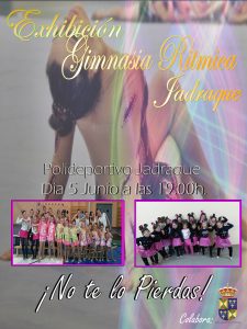 Lee más sobre el artículo Exhibición Gimnasia