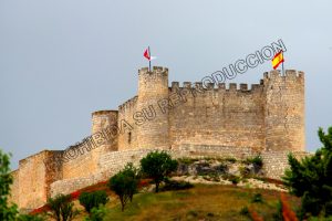 Lee más sobre el artículo II Certamen Fotografía