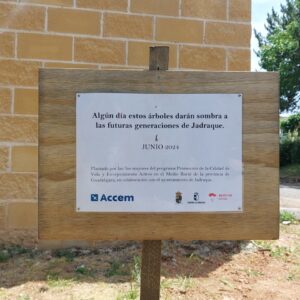 Lee más sobre el artículo Dia mundial del Medio Ambiente