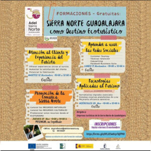 Lee más sobre el artículo Formaciones