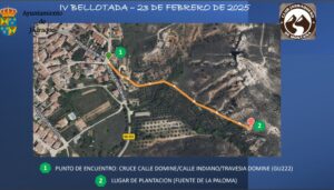 Lee más sobre el artículo IV Bellotada