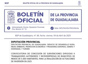 Lee más sobre el artículo Subvenciones Autonomos y microempresas