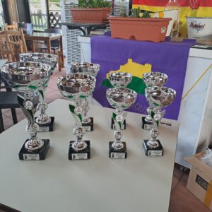 Lee más sobre el artículo II Liga de padel Bar la Corona