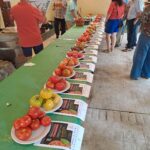 cliclo cultural 2025 (10)