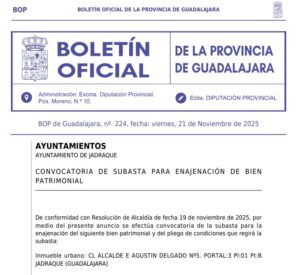 Lee más sobre el artículo Convocatoria Subasta