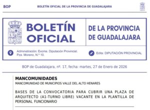 Lee más sobre el artículo Convocatoria Arquitecto Municipio Valle del Henares