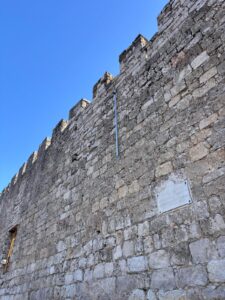 recuperacion castillo (4)