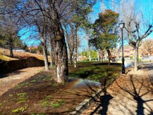 parque (1)