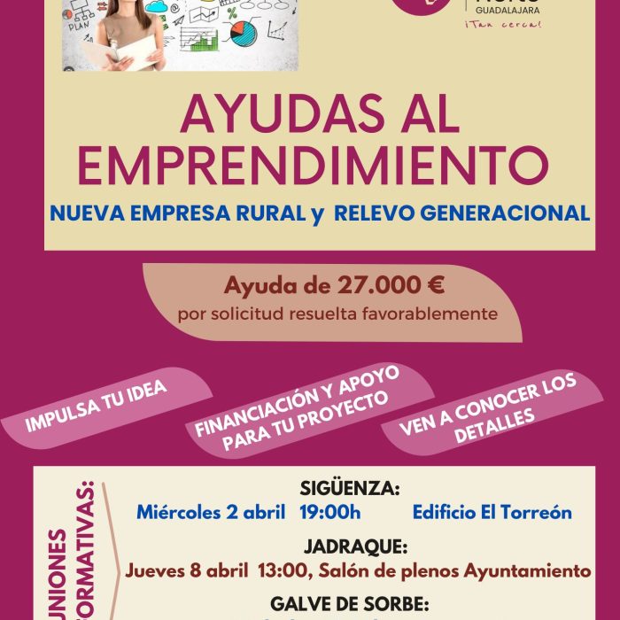 Ayudas al emprendimiento