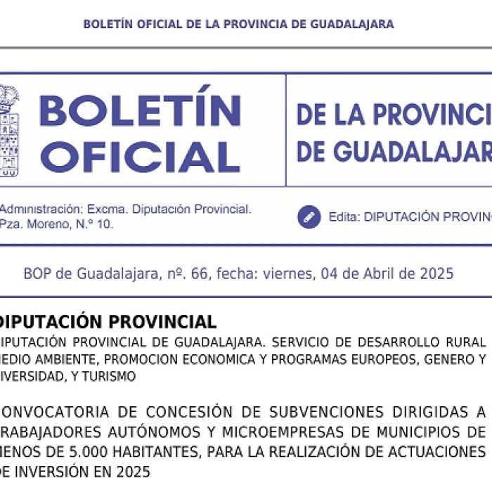 Subvenciones Autonomos y microempresas
