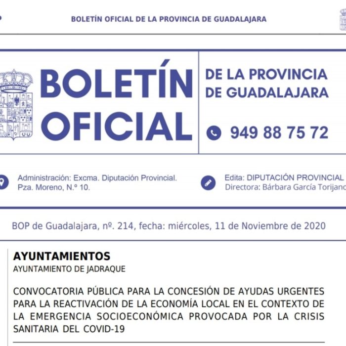 Ayudas municipales a empresas