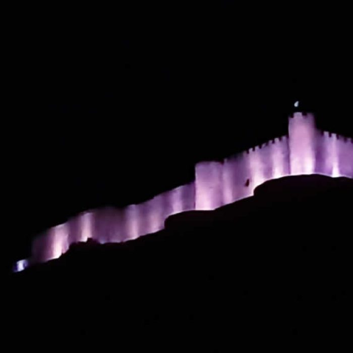 Día Internacional para la Eliminación de la Violencia contra la Mujer