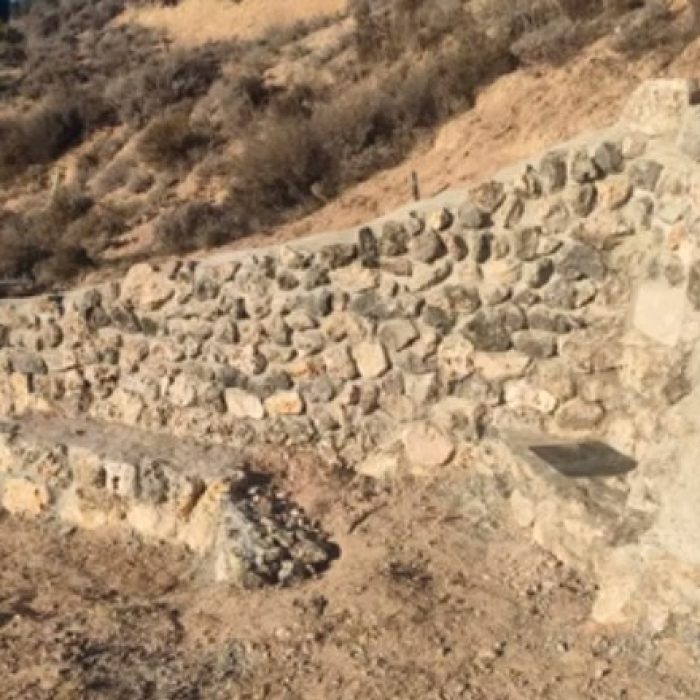 Recuperación de la Fuente de la Paloma