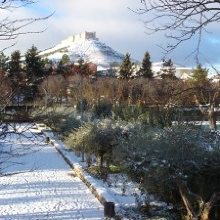 Concurso de Fotografía