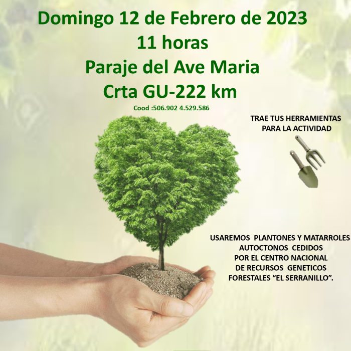Jornada de Reforestación
