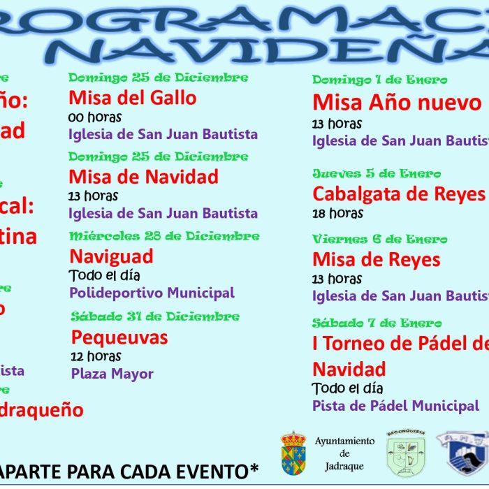 Programa Navidad