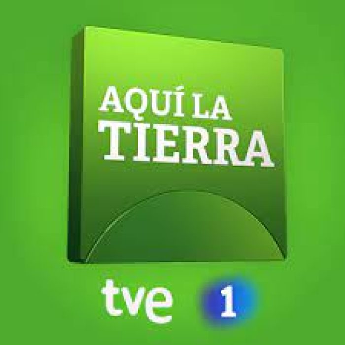 Jadraque en TVE