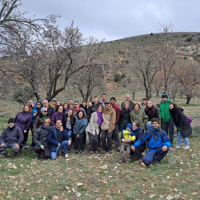 III Bellotada