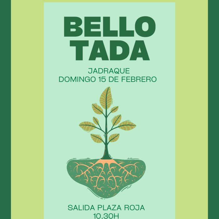 Reforestacion en Jadraque