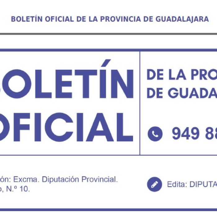 Bolsa de monitores – BOGU