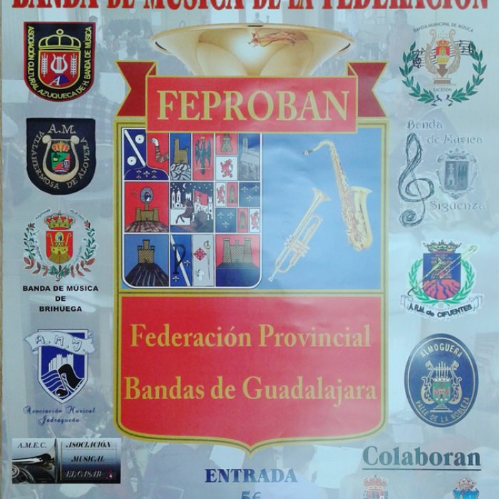 Concierto FEPROBAN