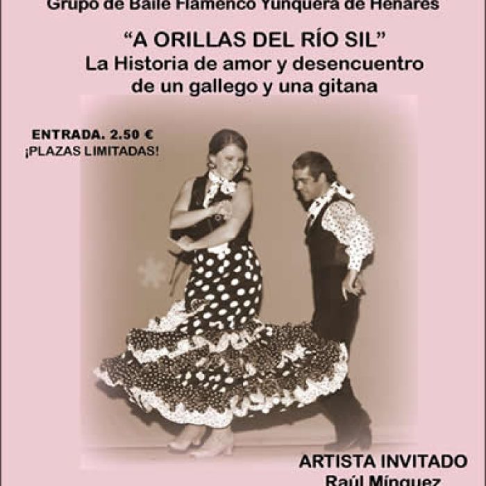 Baile Flamenco
