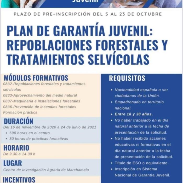 Curso – Plan garantía juvenil