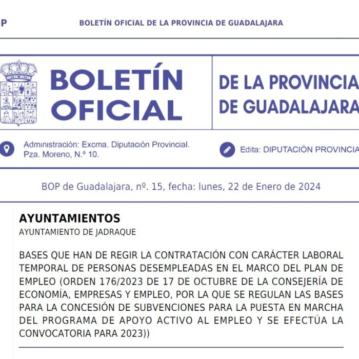 Plan de empleo