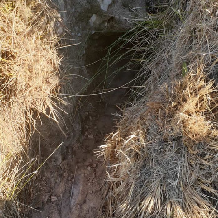 Programa volvamos a las fuentes