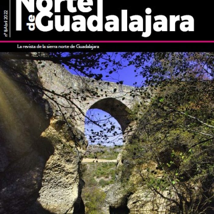 El Norte de Guadalajara Nº8