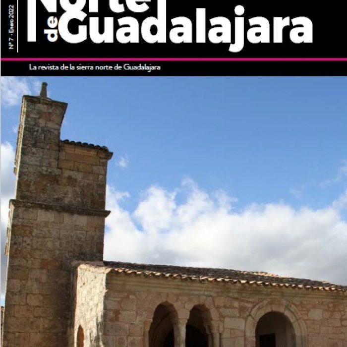 El Norte de Guadalajara Nº7