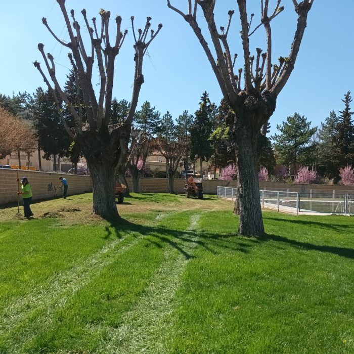 Mejoras en el Parque Municipál