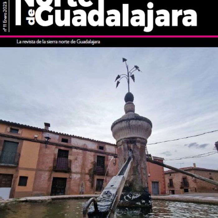 El Norte de Guadalajara