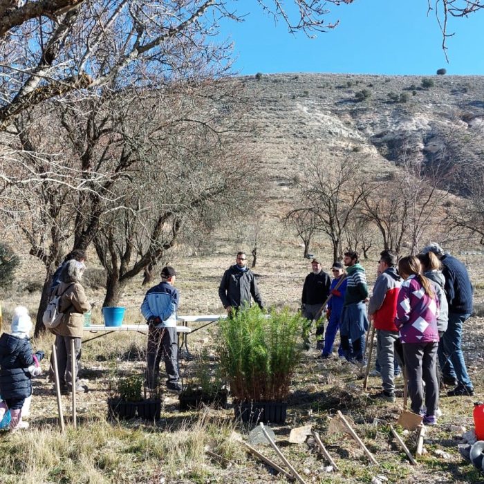 Jornada de Reforestación