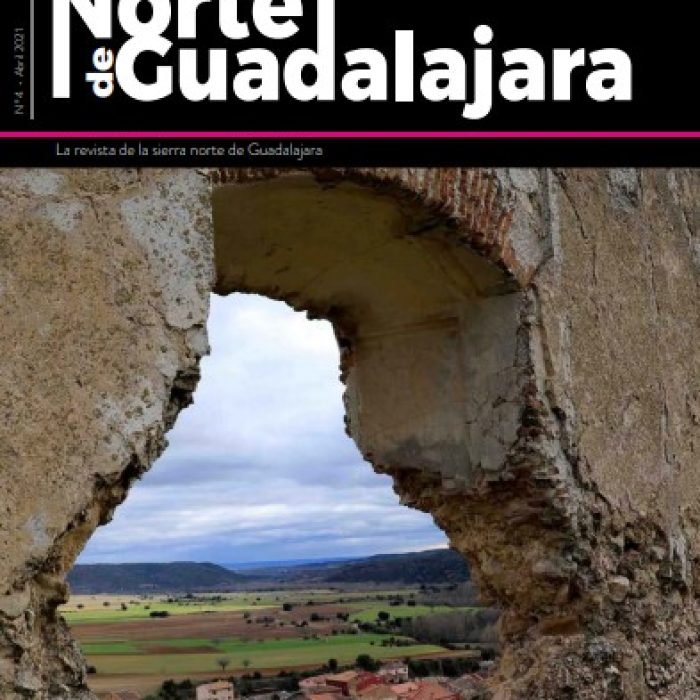 El Norte de Guadalajara nº4