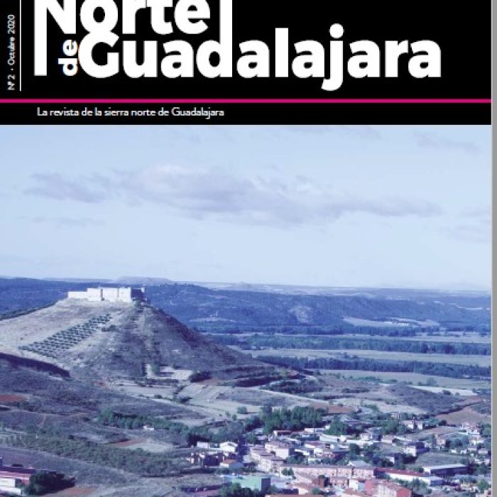 El Norte de Guadalajara Nº3